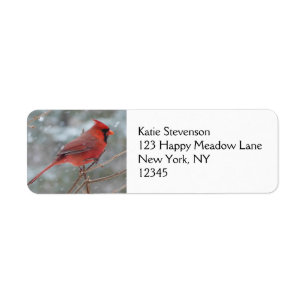 Red cardinal in Winter Label