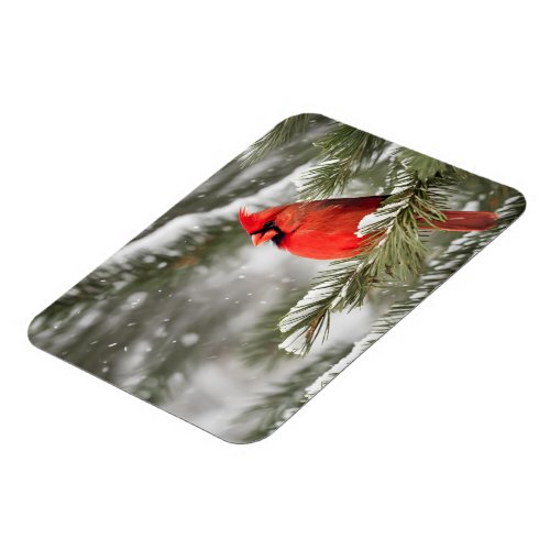 Red Cardinal In Winter Magnet