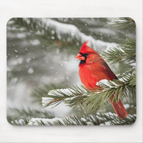 Red Cardinal In Winter Mouse Pad