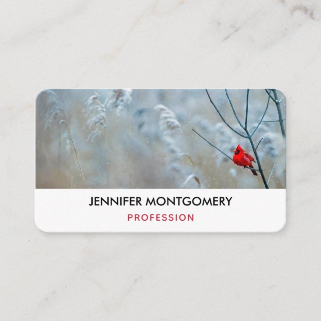 Red Cardinal in Winter Nature Photo Christmas Business Card (Front)