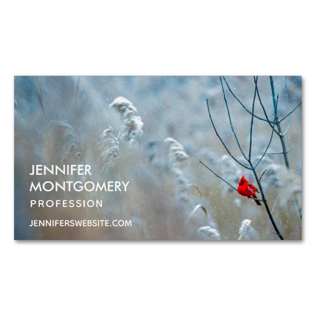 Red Cardinal in Winter Nature Photo Christmas Business Card Magnet (Front)