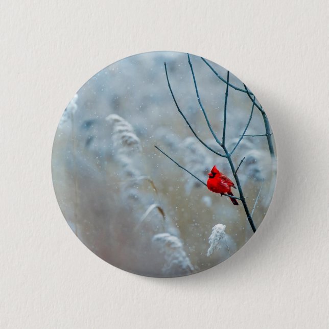 Red Cardinal in Winter Nature Photo Christmas Button (Front)