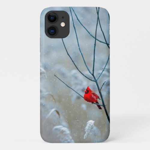 Red Cardinal in Winter Nature Photo Christmas iPhone 11 Case