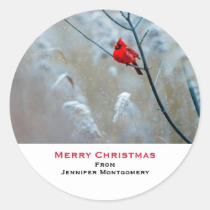 Red Cardinal in Winter Nature Photo Christmas Classic Round Sticker