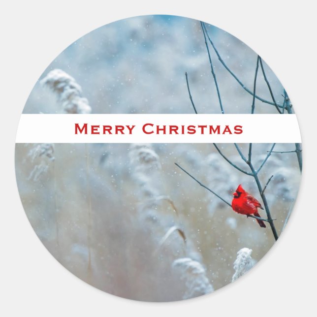 Red Cardinal in Winter Nature Photo Christmas Classic Round Sticker (Front)