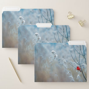 Red Cardinal in Winter Nature Photo Christmas File Folder