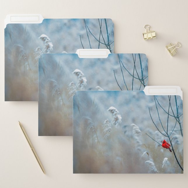 Red Cardinal in Winter Nature Photo Christmas File Folder (Set)