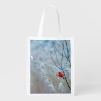 Red Cardinal in Winter Nature Photo Christmas