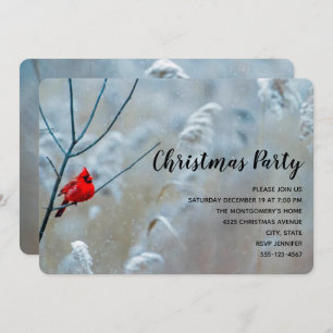 Red Cardinal in Winter Nature Photo Christmas Invitation