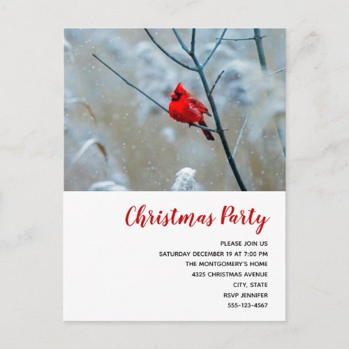 Red Cardinal in Winter Nature Photo Christmas Invitation Postcard