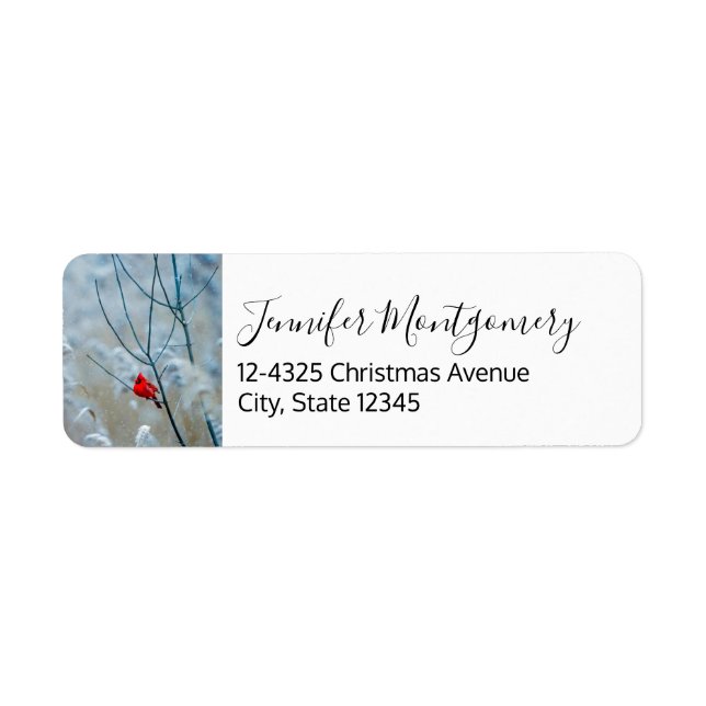 Red Cardinal in Winter Nature Photo Christmas Label (Front)
