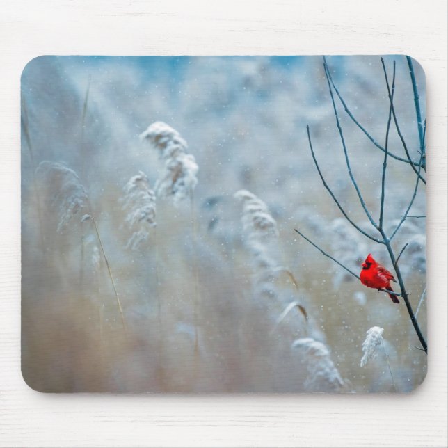 Red Cardinal in Winter Nature Photo Christmas Mouse Pad (Front)
