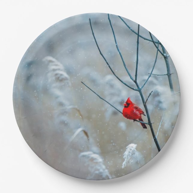 Red Cardinal in Winter Nature Photo Christmas Paper Plates (Front)