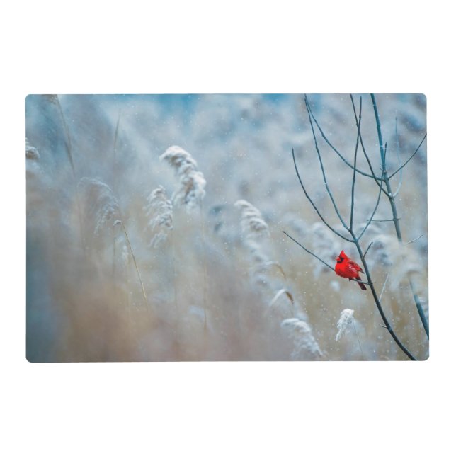 Red Cardinal in Winter Nature Photo Christmas Placemat (Front)