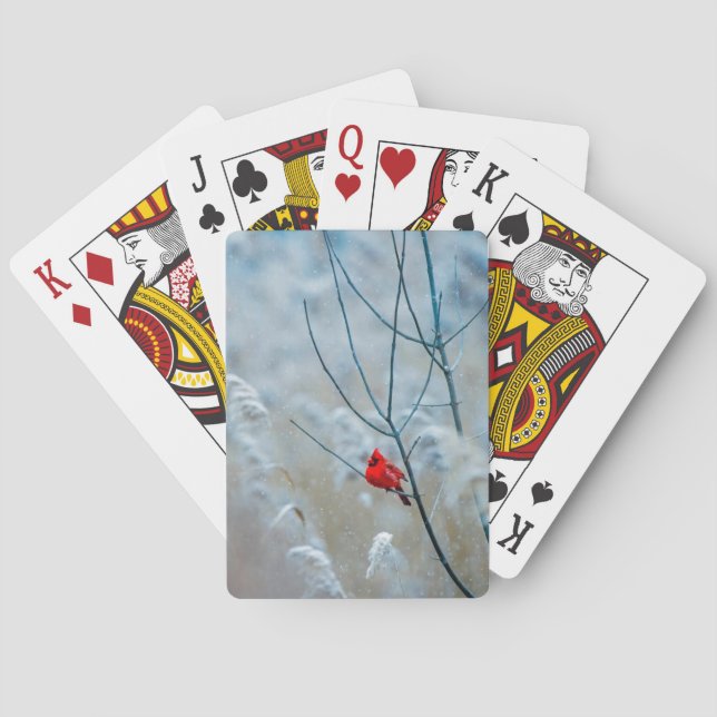 Red Cardinal in Winter Nature Photo Christmas Poker Cards (Back)