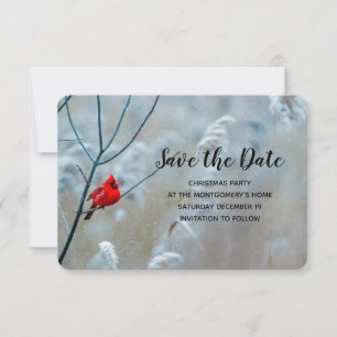 Red Cardinal in Winter Nature Photo Christmas Save The Date