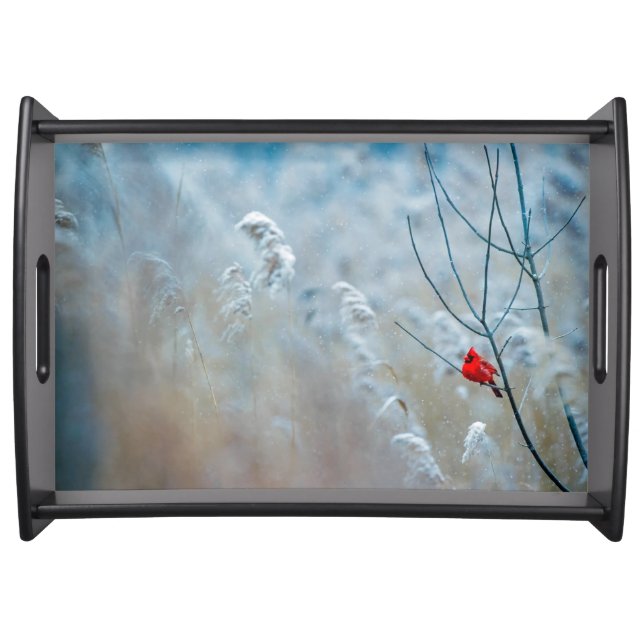 Red Cardinal in Winter Nature Photo Christmas Serving Tray (Front)
