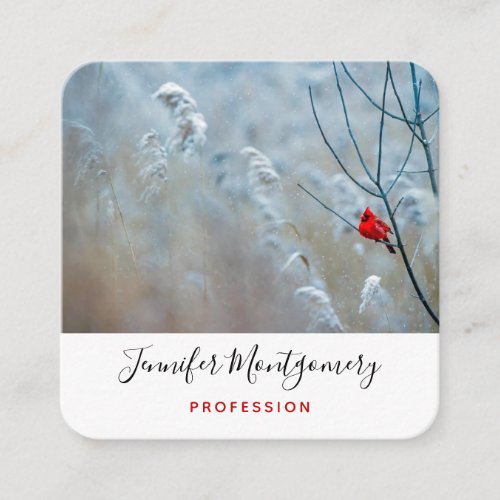 Red Cardinal in Winter Nature Photo Christmas Square Business Card