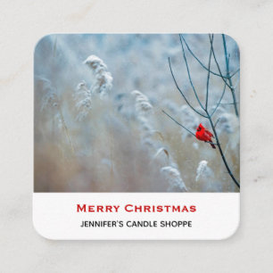 Red Cardinal in Winter Nature Photo Christmas Square Business Card