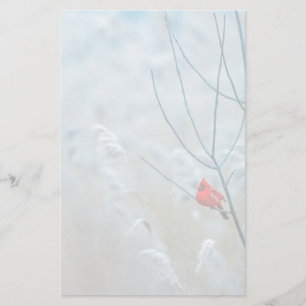Red Cardinal in Winter Nature Photo Christmas Stationery