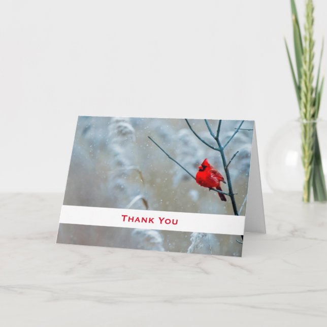 Red Cardinal in Winter Nature Photo Thank You Card (Front)