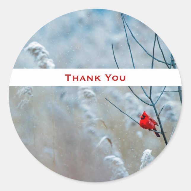 Red Cardinal in Winter Nature Photo Thank You Classic Round Sticker (Front)