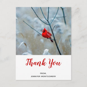 Red Cardinal in Winter Nature Photo Thank You Postcard