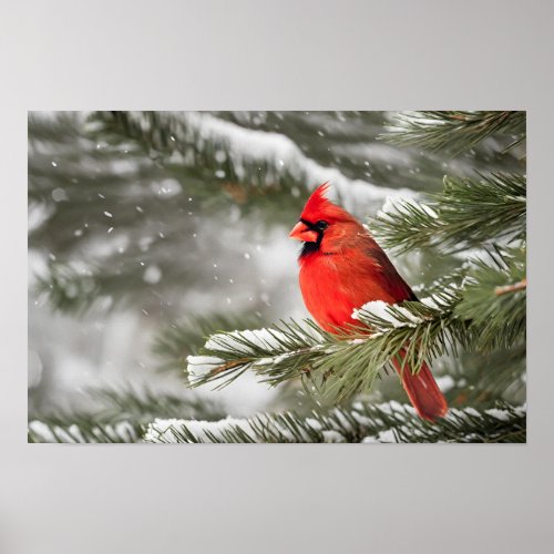 Red Cardinal In Winter Poster