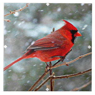 Red Cardinal in Winter Snow Ceramic Tile