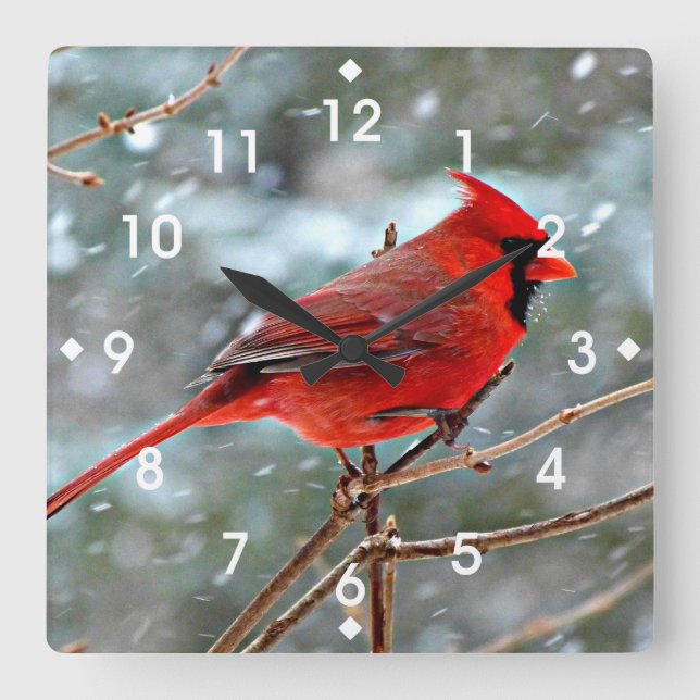Red Cardinal in Winter Snow Square Wall Clock (Front)