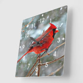 Red Cardinal in Winter Snow Square Wall Clock (Angle)