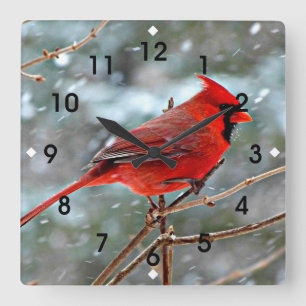 Red Cardinal in Winter Snow Square Wall Clock