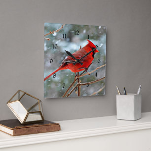 Red Cardinal in Winter Snow Square Wall Clock