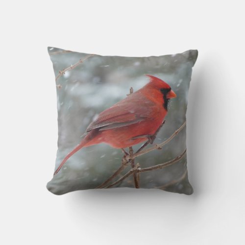 Red cardinal in Winter Throw Pillow