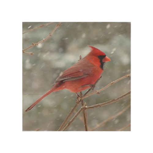 Red cardinal in Winter Wood Wall Decor