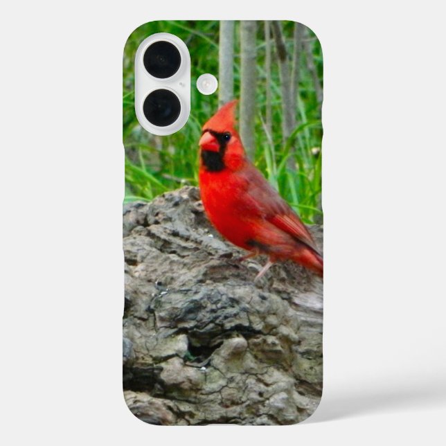 Red Cardinal iPhone Case (Back)