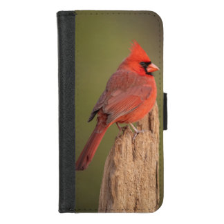Red Cardinal  iPhone 8/7 Wallet Case