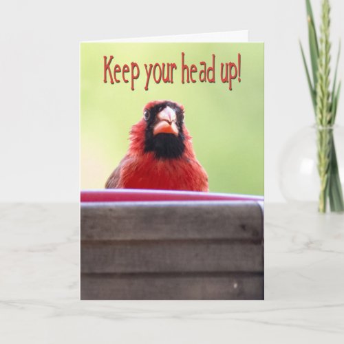 Red Cardinal Keep Your Head Up Card