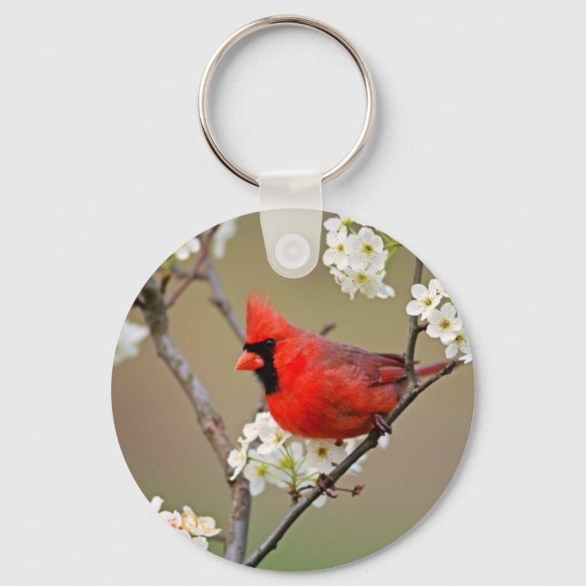 Red Cardinal Keychain (Front)