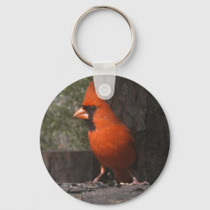 Red Cardinal Keychain