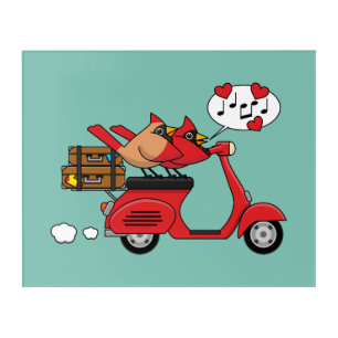 Red Cardinal Lovers on Scooter Acrylic Print