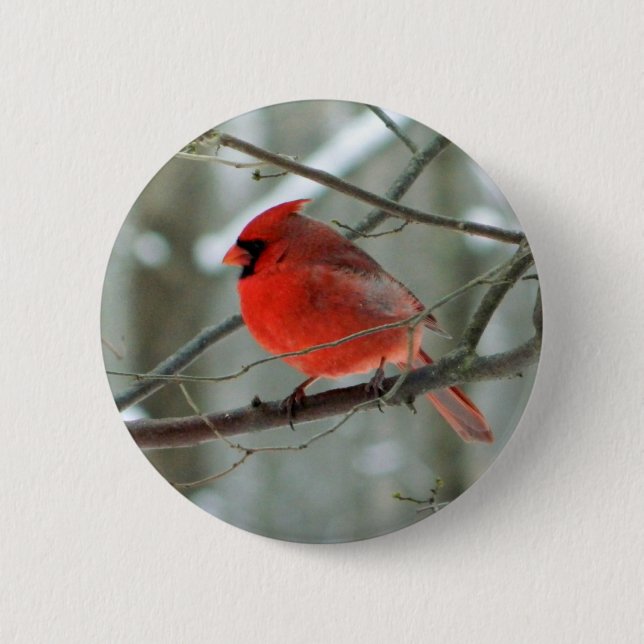 Red Cardinal (Male) Wildlife Button (Front)