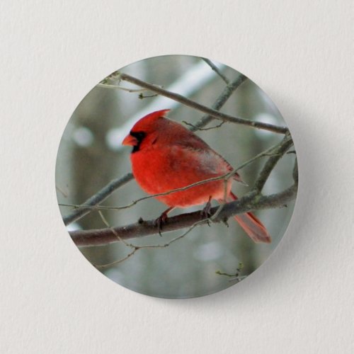 Red Cardinal Male Wildlife Button