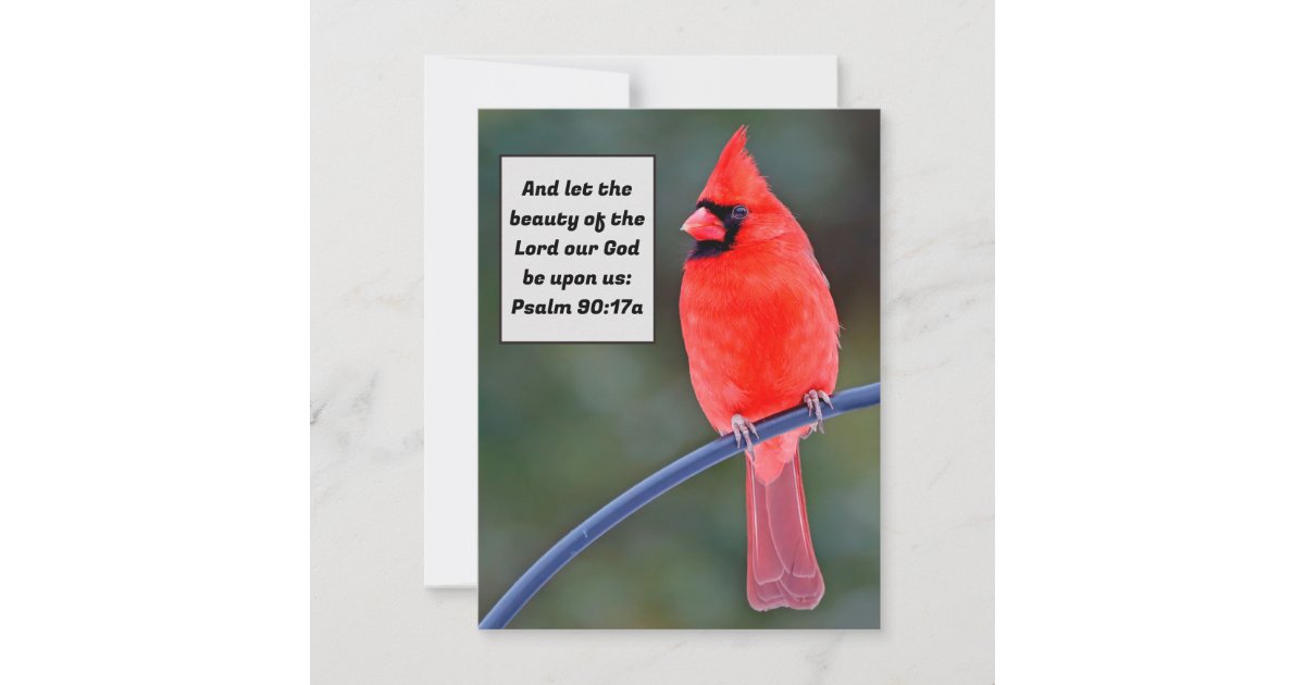 Red Cardinal Note Card Thank You Valentines Bird | Zazzle