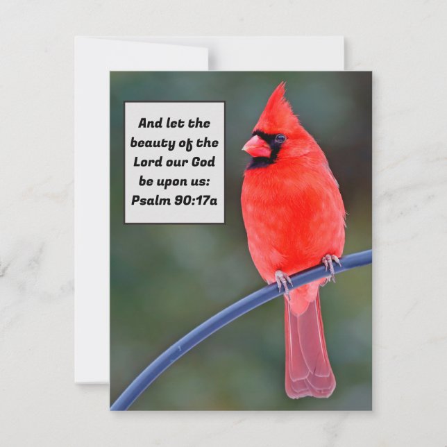 Red Cardinal Note Card Thank You Valentines Bird (Front)