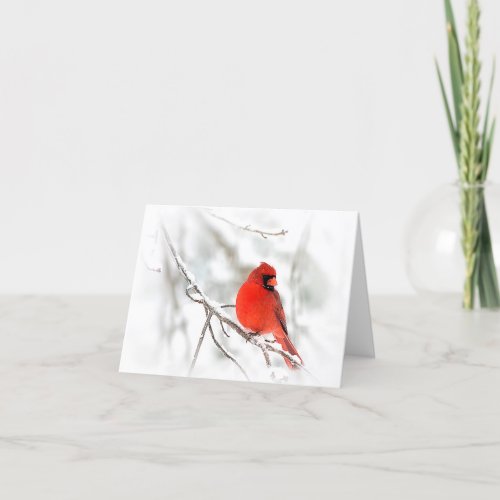 Red Cardinal Note Cards Card