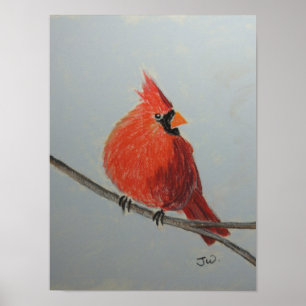 Red Cardinal on Branch in Pastels Poster