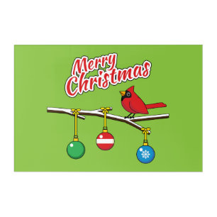 Red Cardinal on Christmas Bare Branch - Merry Xmas Acrylic Print