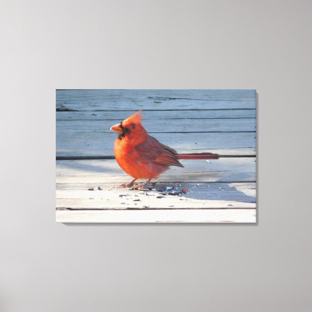 Red Cardinal on Wooden Bridge Canvas Print (Front)