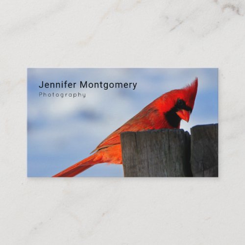 Red Cardinal on Wooden Stump Business Card